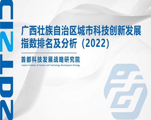 鸡逼操喷水【成果发布】广西壮族自治区城市科技创新发展指数排名及分析（2022）